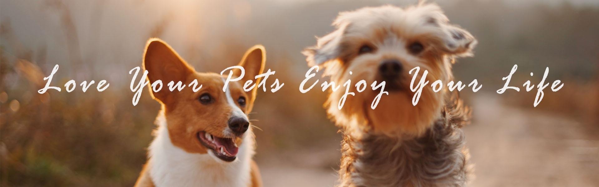 sällskapsdjur produkter, djur tillbehör, sällskapsdjur leveranser,Furjoyz Pet Products Co., Ltd