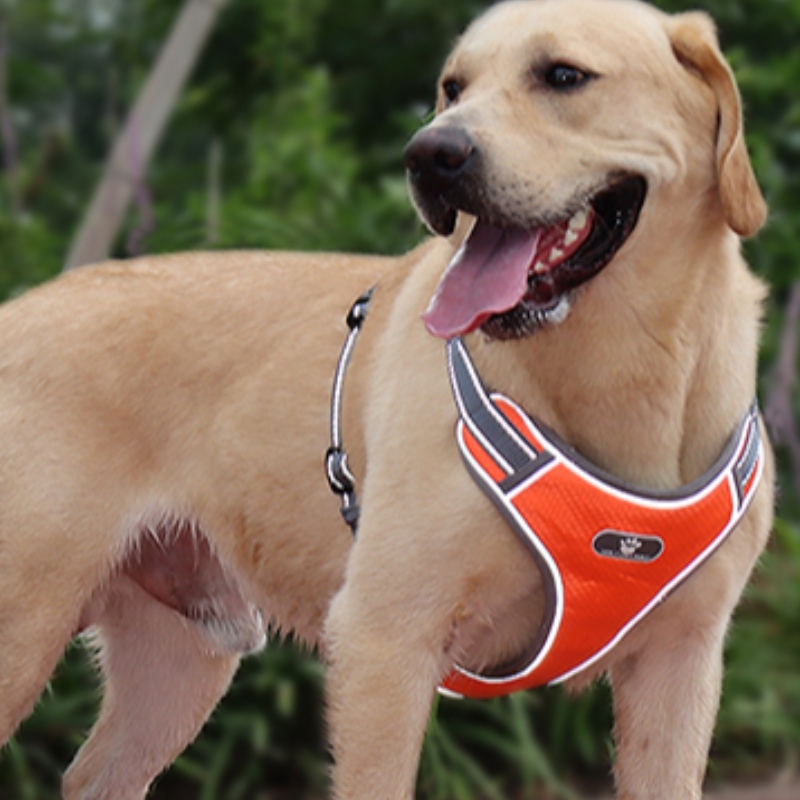Partihandel OEM Tillverkning Anpassad High End Dog Harness Luxury Pet Dog Reversible Harness Reflective Dog Harness